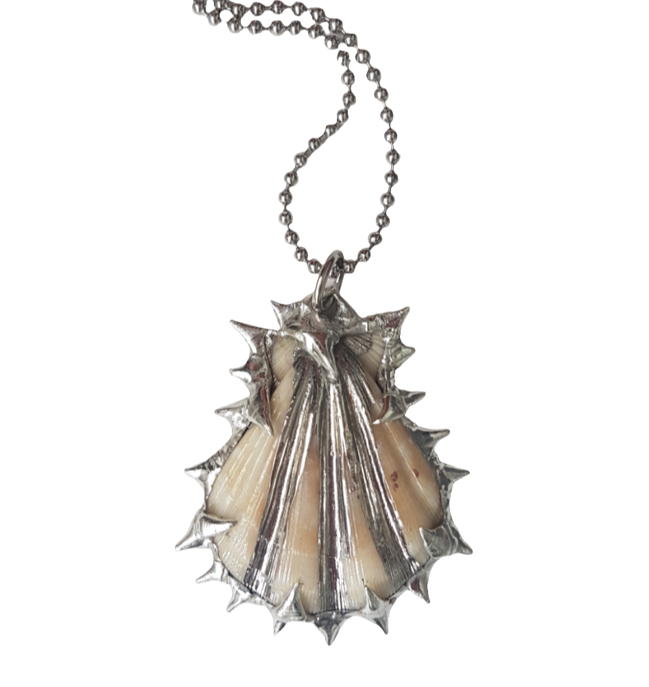 spiky shell