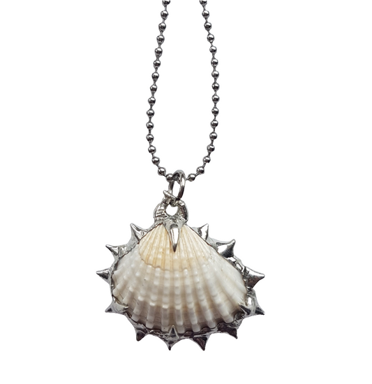 spiky shell